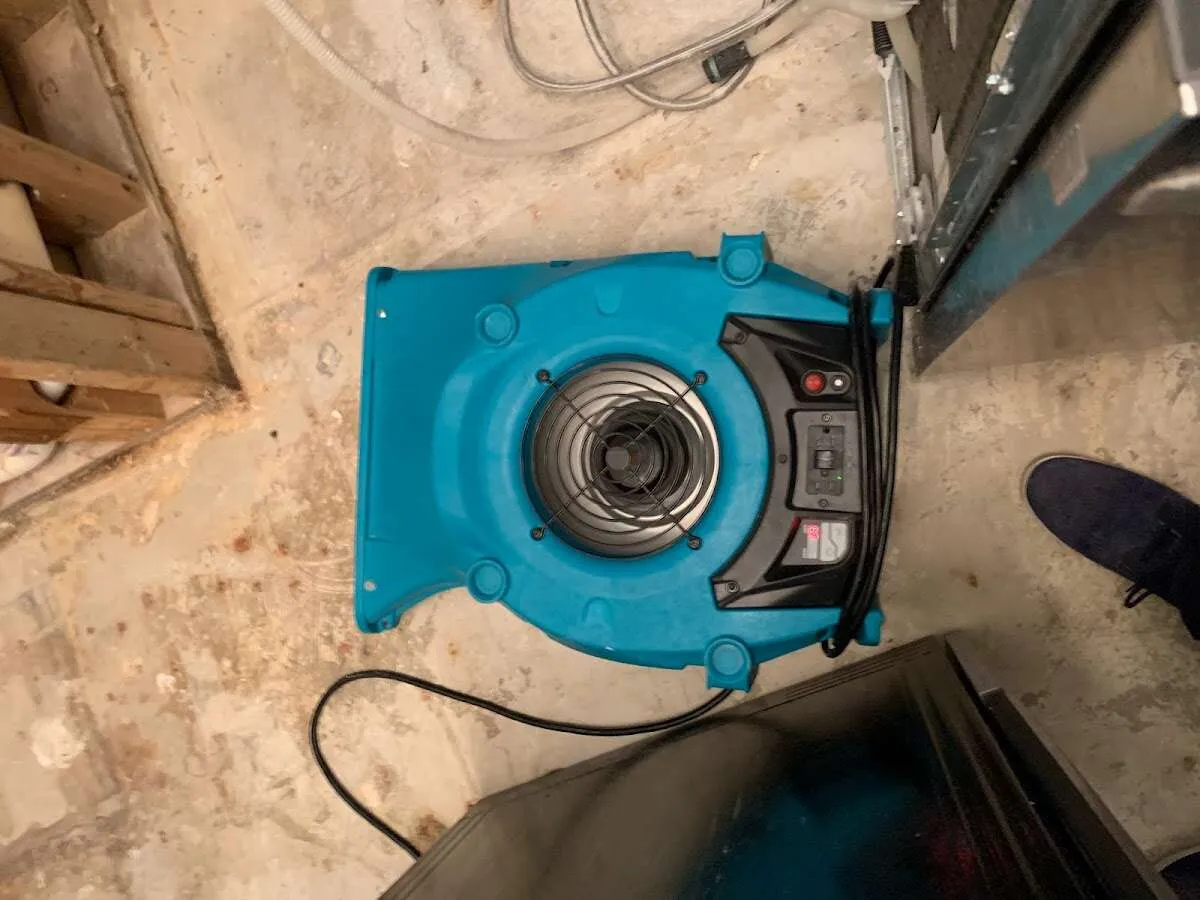Air mover drying equipment for Mold Remediation & Removal in Southington