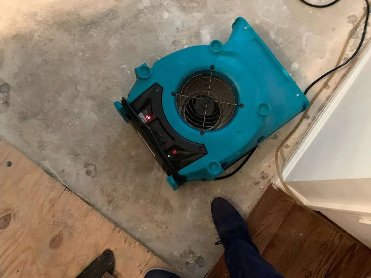 Air mover drying subfloor during Leak Detection & Repair in Southington